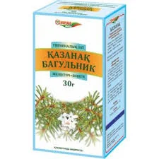 БАГУЛЬНИК БОЛОТНЫЙ ПОБЕГИ 30Г_ЗРД