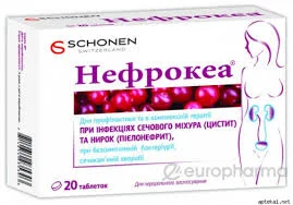 НЕФРОКЭА №20