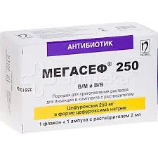 МЕГАСЕФ 250МГ №1