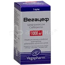 ВЕГАЦЕФ (ЦЕФТРИАКСОН) АМП. 1Г №1