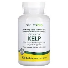NATURESPLUS ИСЛАНДСКИЙ КЕЛП (ЙОД) №300 ТАБ
